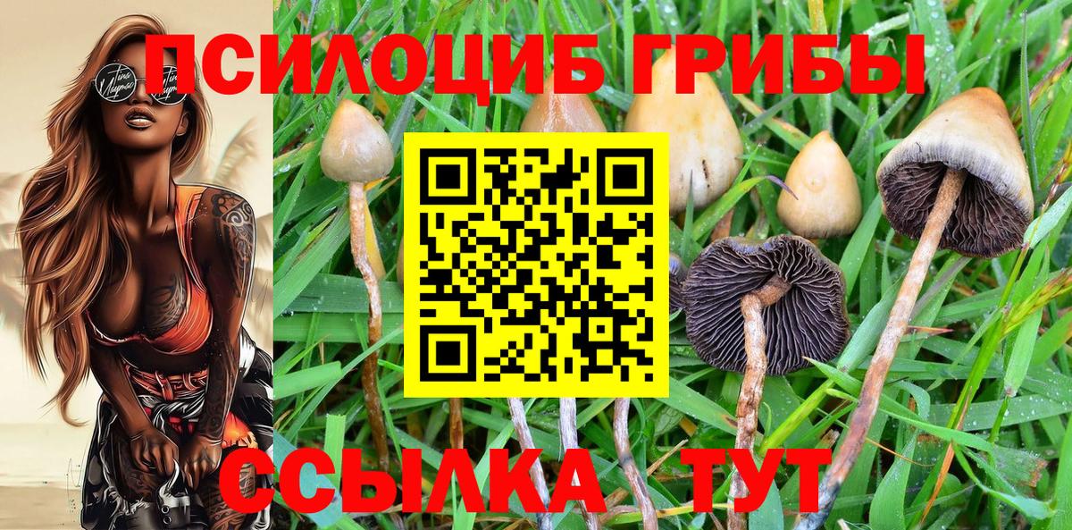 Великий Устюг  магазин продажи   Псилоцибиновые грибы Magic Shrooms  Вход с VPN  Галлюциногенные грибы MAGIC MUSHROOMS 